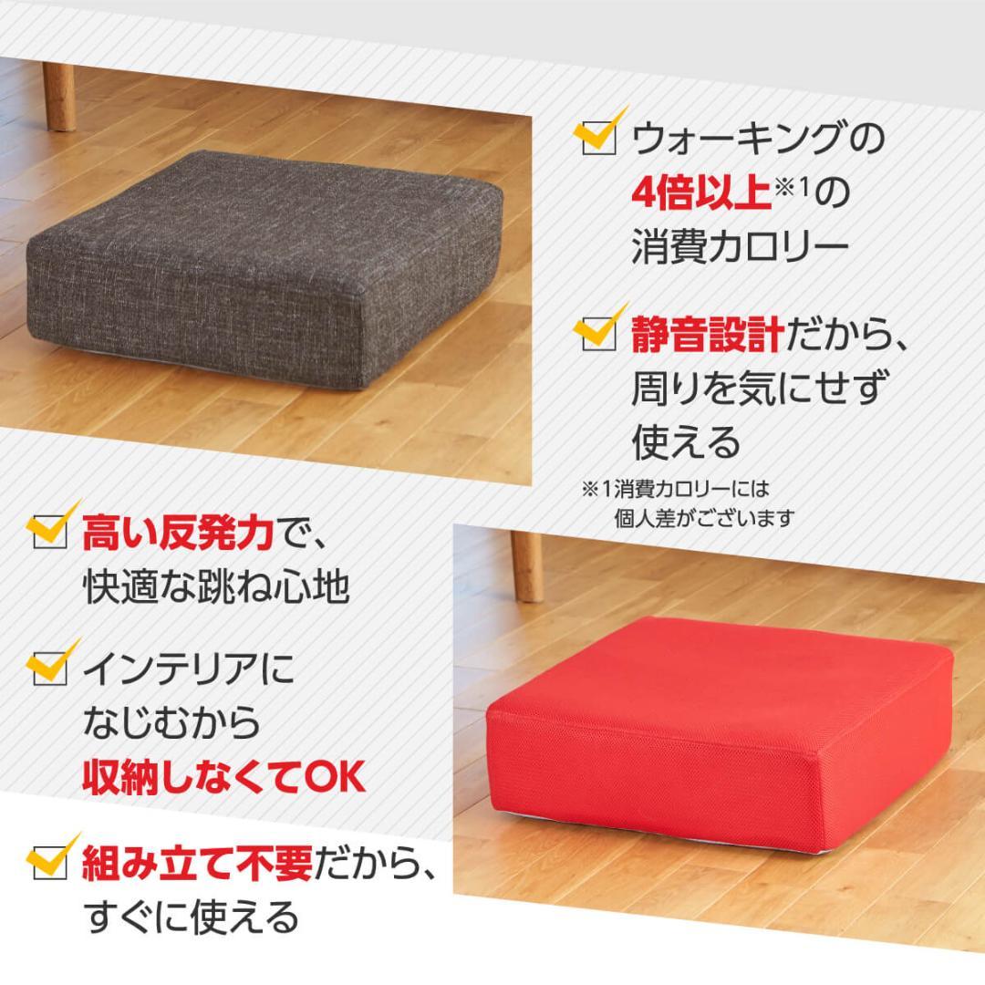 ほぼ未使用●ロコックス シェイポリン●トランポリン運動 専用 赤・茶カバーセット