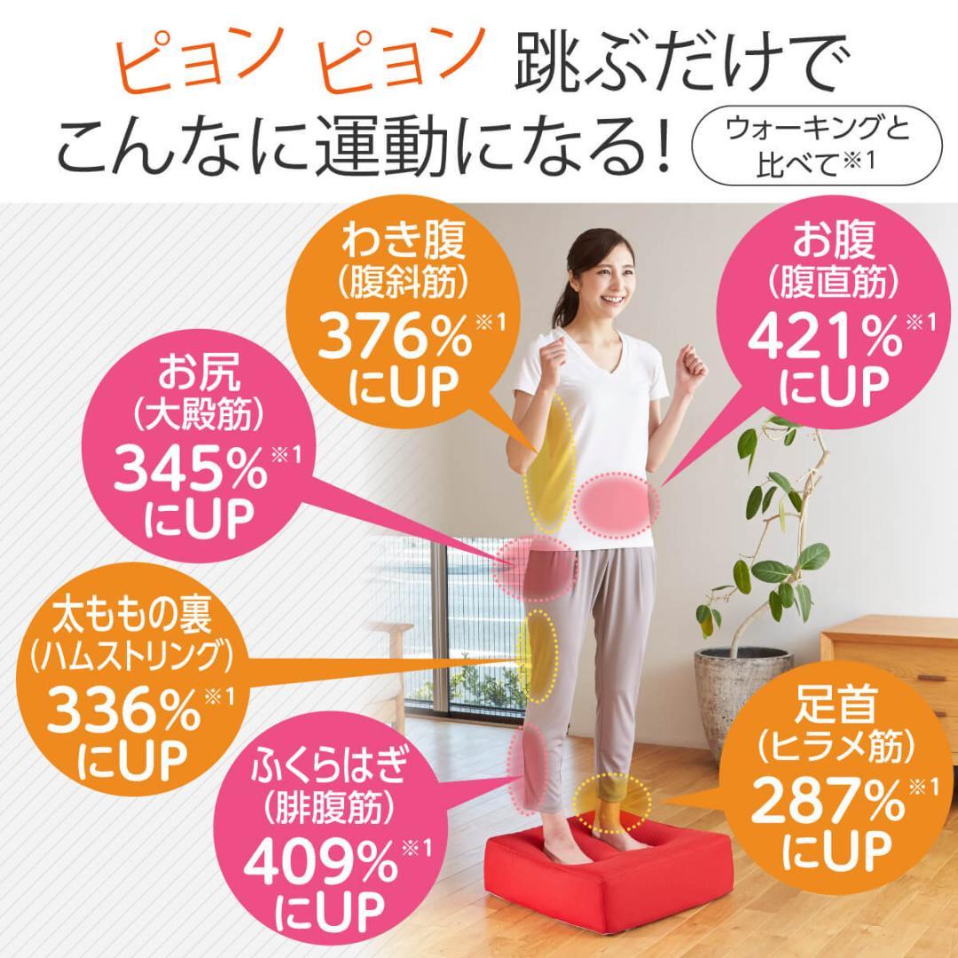 ほぼ未使用●ロコックス シェイポリン●トランポリン運動 専用 赤・茶カバーセット