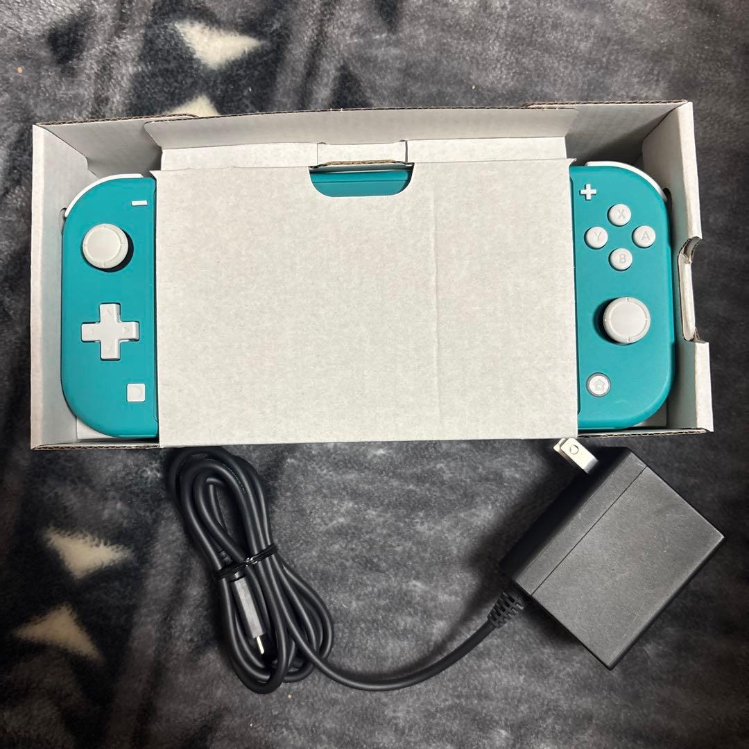 Switchライト箱充電器付き ケース付き