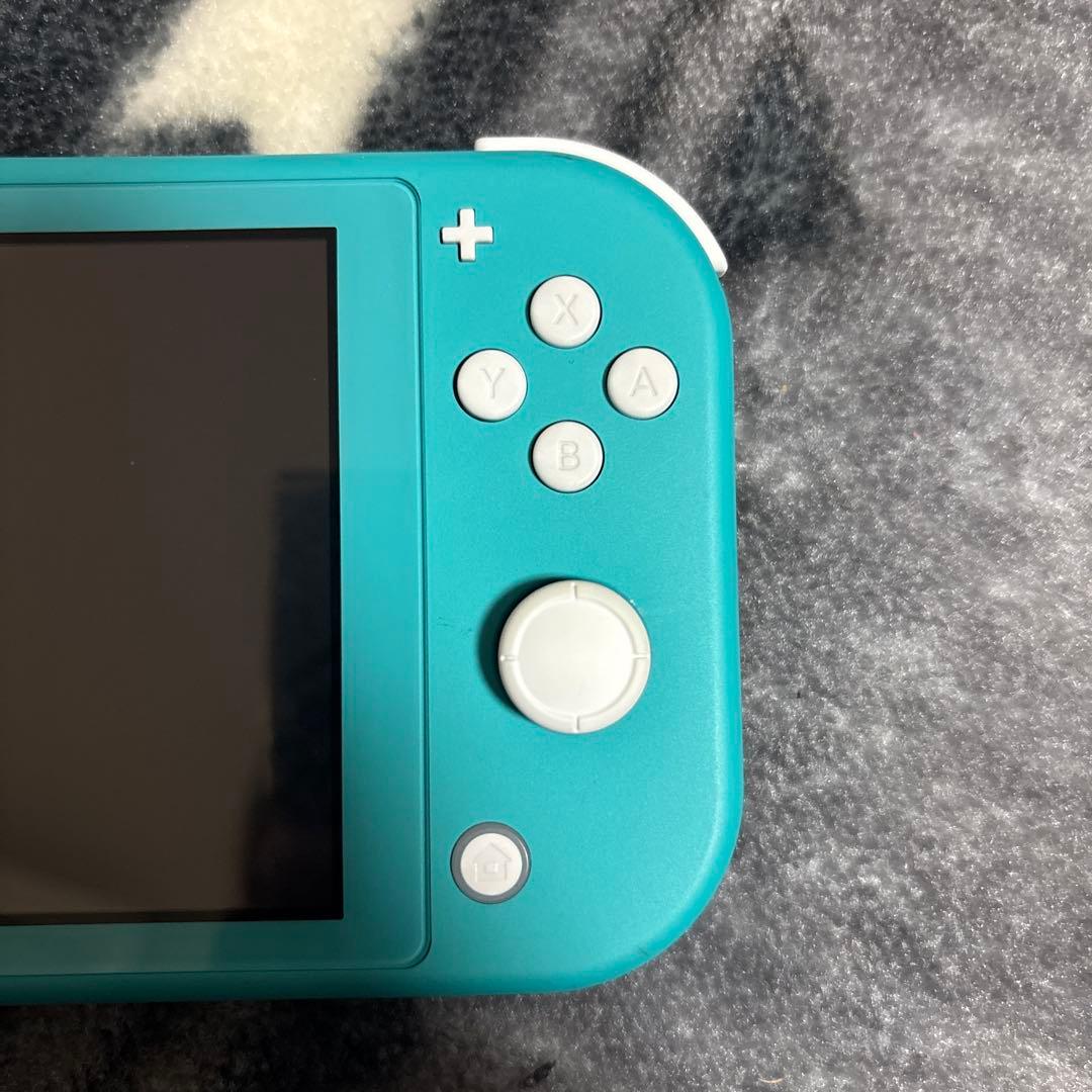 Switchライト箱充電器付き ケース付き