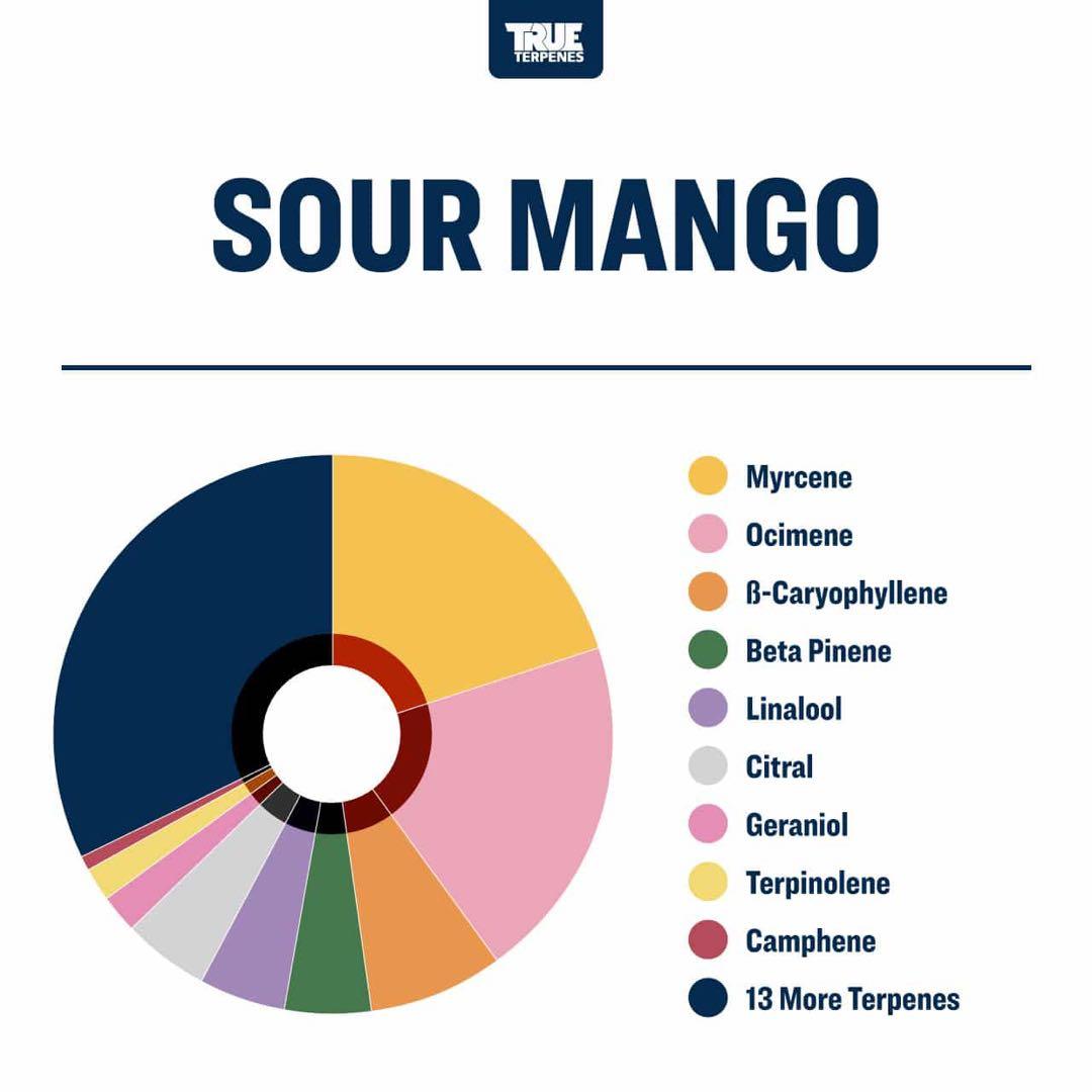 【10ml】Sour Mango／True Terpenes　テルペン　CBD