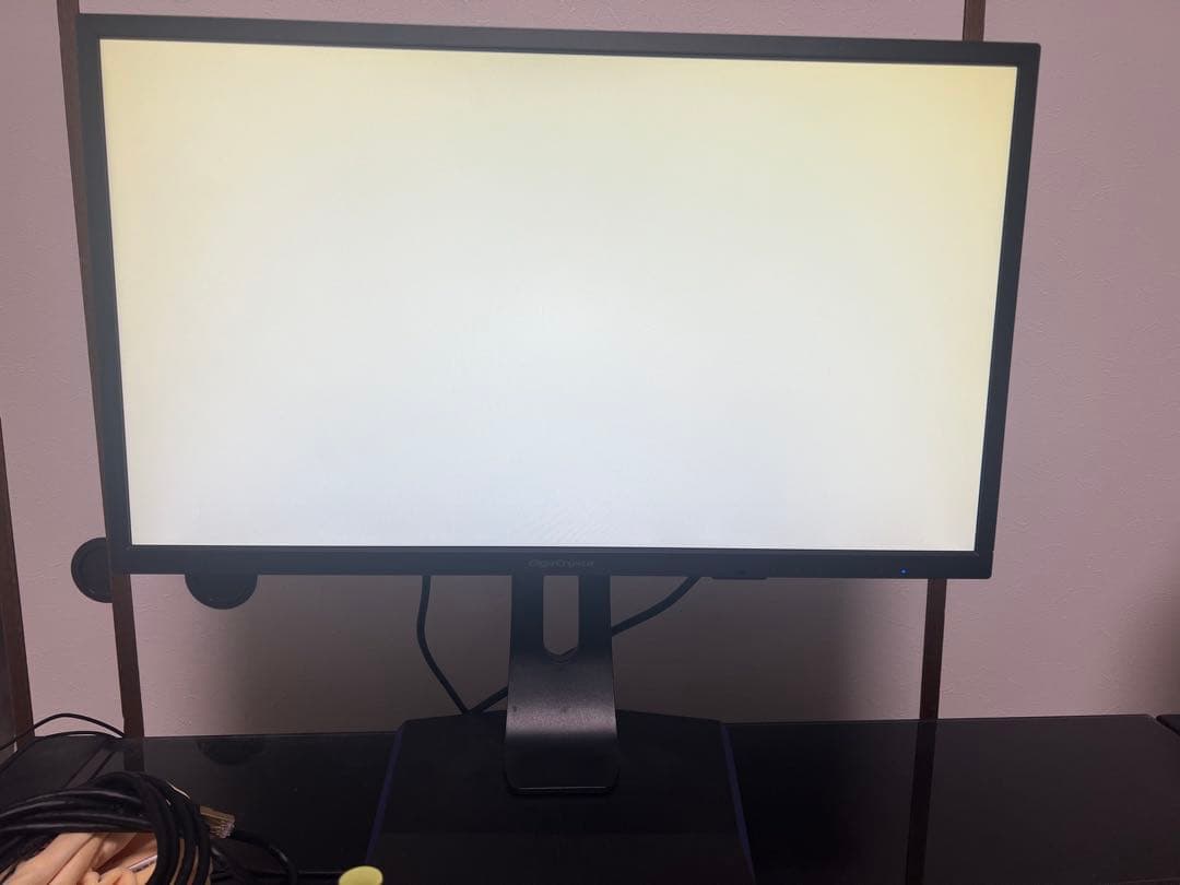 GigaCrysta ゲーミングモニター 型番：LCD-GC251UX