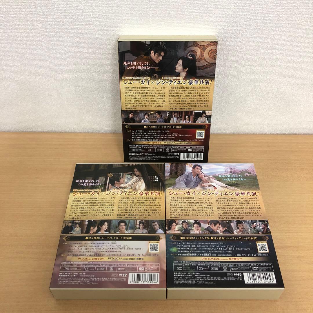 専用 M0115A 楽遊原 WONDER LAND of LOVE DVD