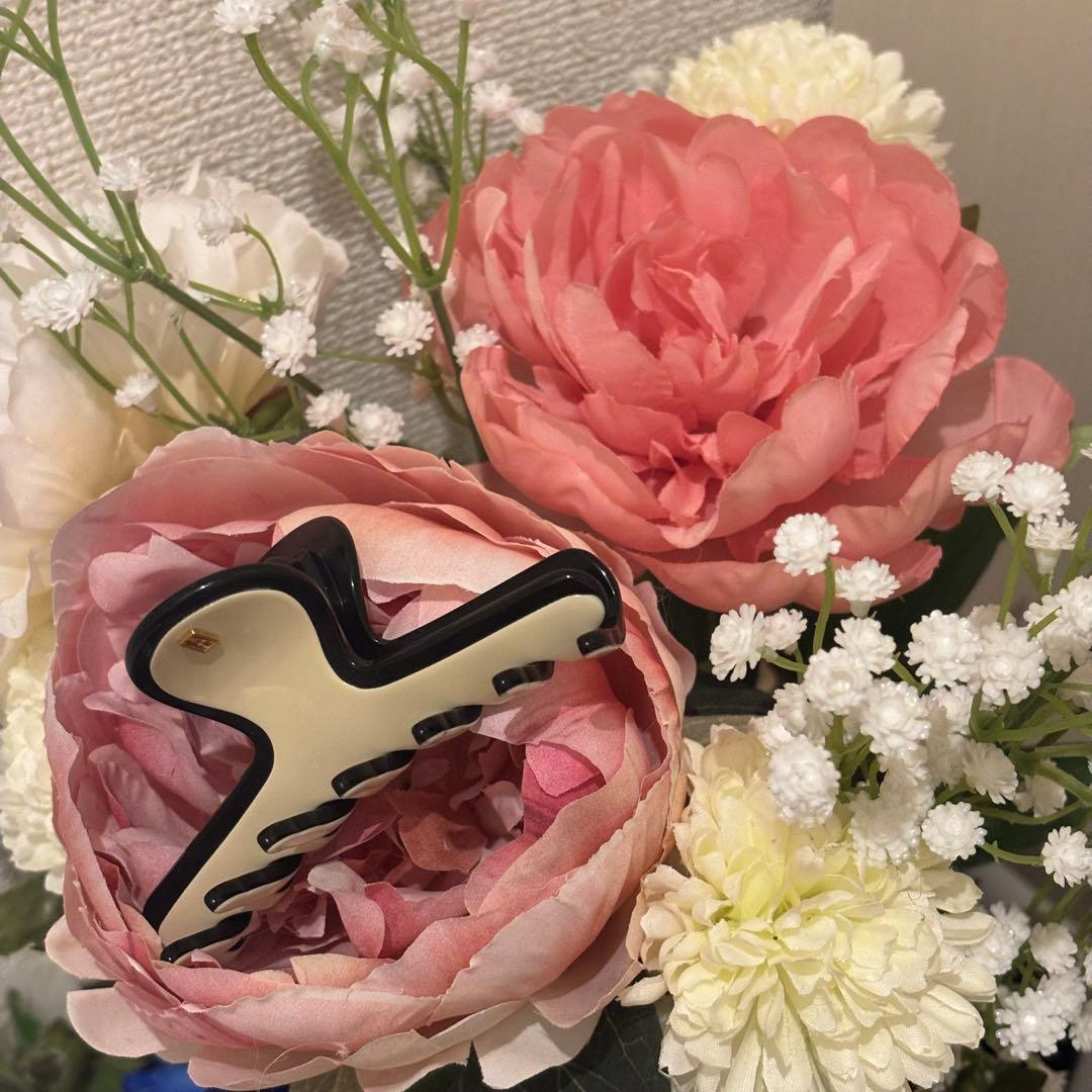 アレクサンドゥルパリ　リズレ　M クリップ