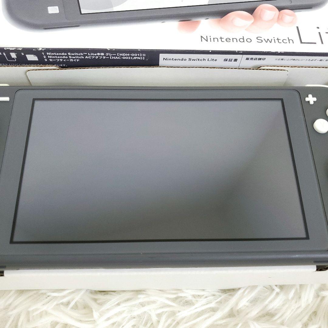 専用 Nintendo Switch Lite グレー 本体
