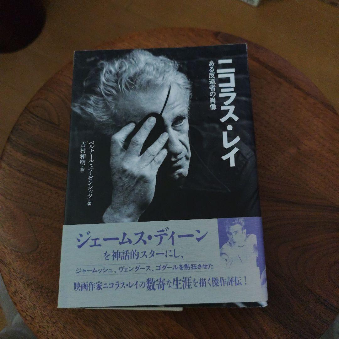 ニコラス·レイ ある反逆者の肖像