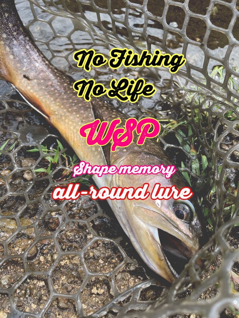 【オーダー受付ページ】WSP 形状記憶　数釣り最強！超万能ルアー
