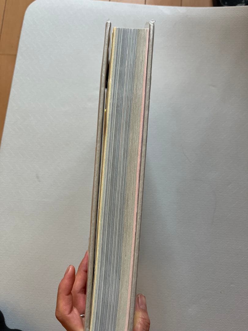 NOMA ノーマ 北欧料理の時間と場所