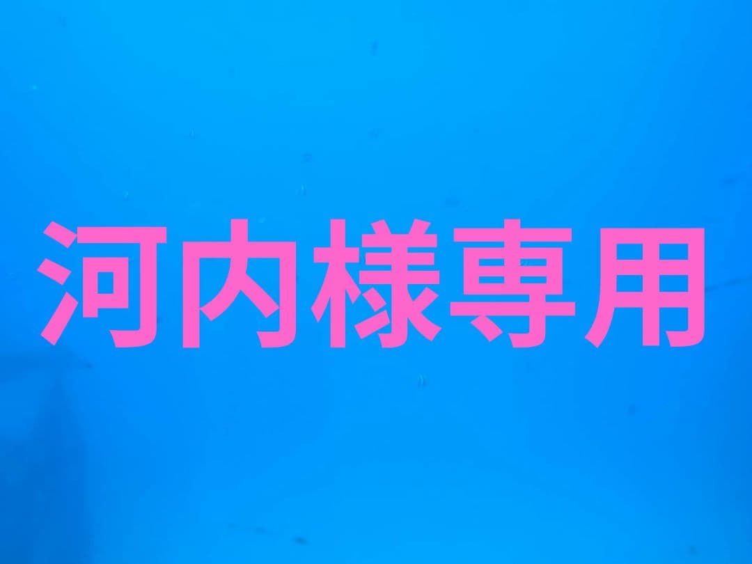 河内　XLサイズ NIKE 衣料