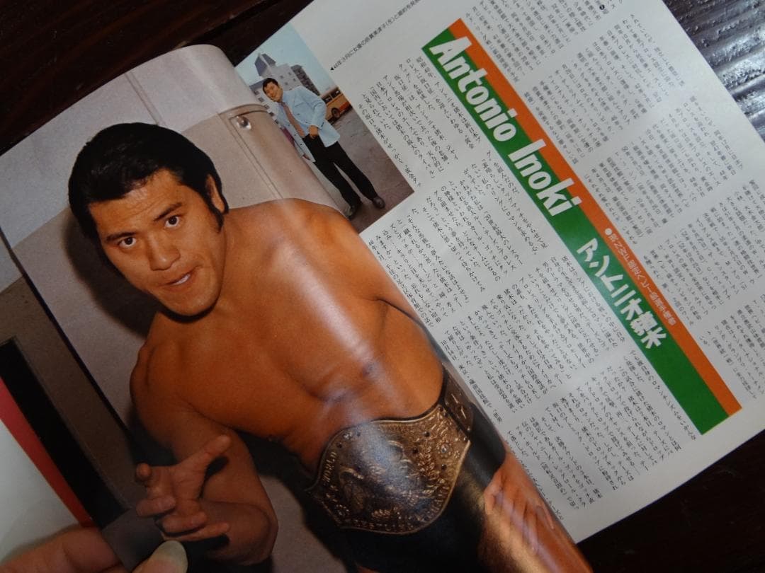 ゴング創刊13周年記念　永久保存版 THE WRESTLER BEST 100