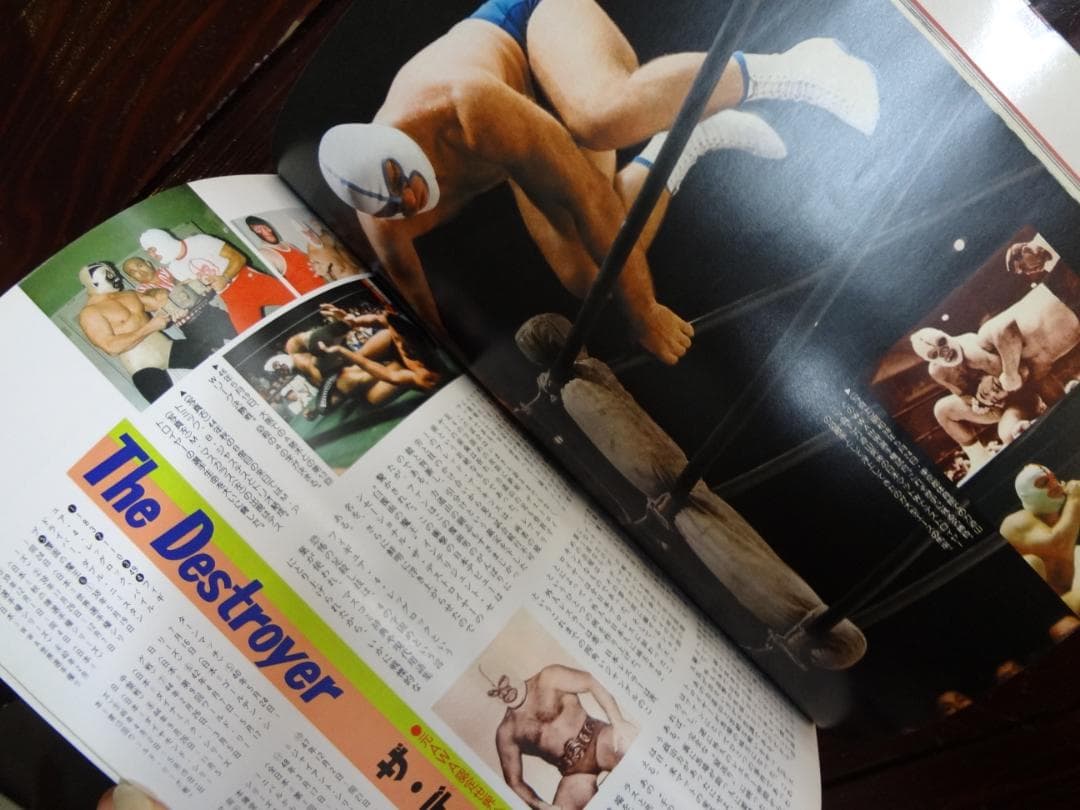 ゴング創刊13周年記念　永久保存版 THE WRESTLER BEST 100