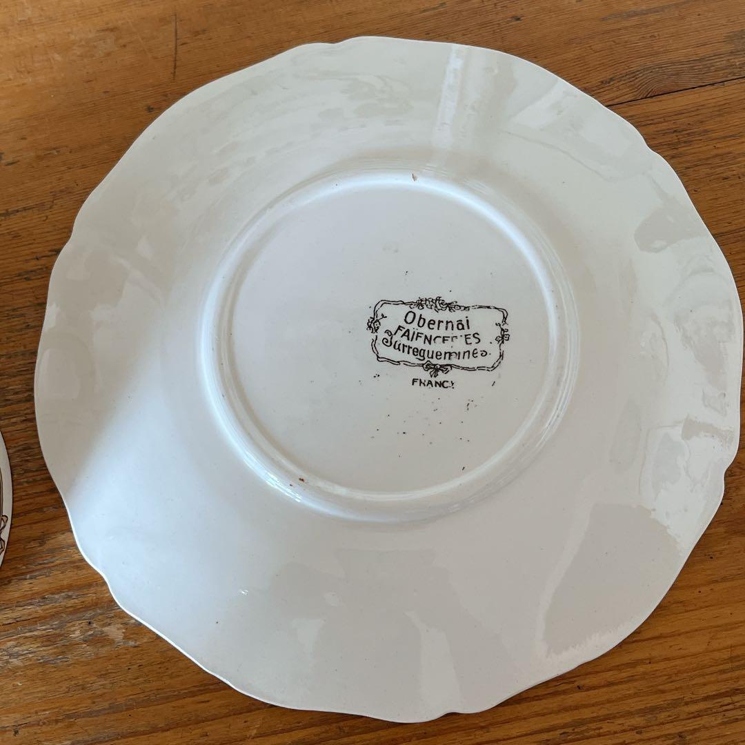 サルグミンヌ　アルザス地方　オベルネモデルのC&S