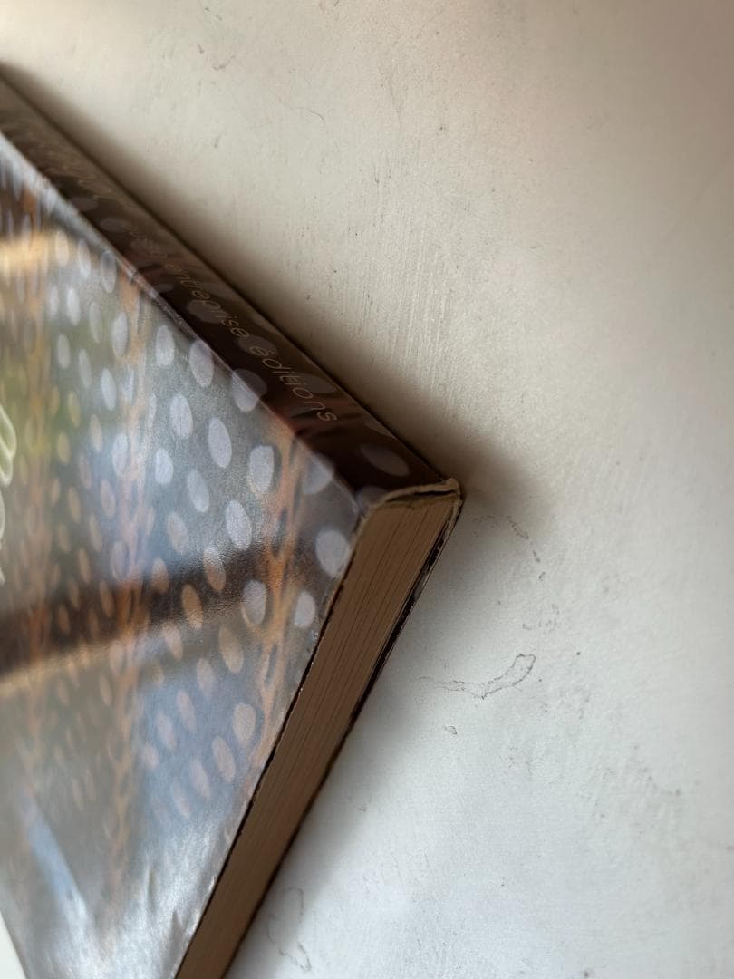 希少 mathieu mategot 作品集 プルーヴェ ペリアン イサムノグチ