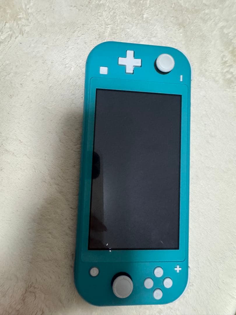 Nintendo Switch Lite ターコイズ・ピンク・専用ケース