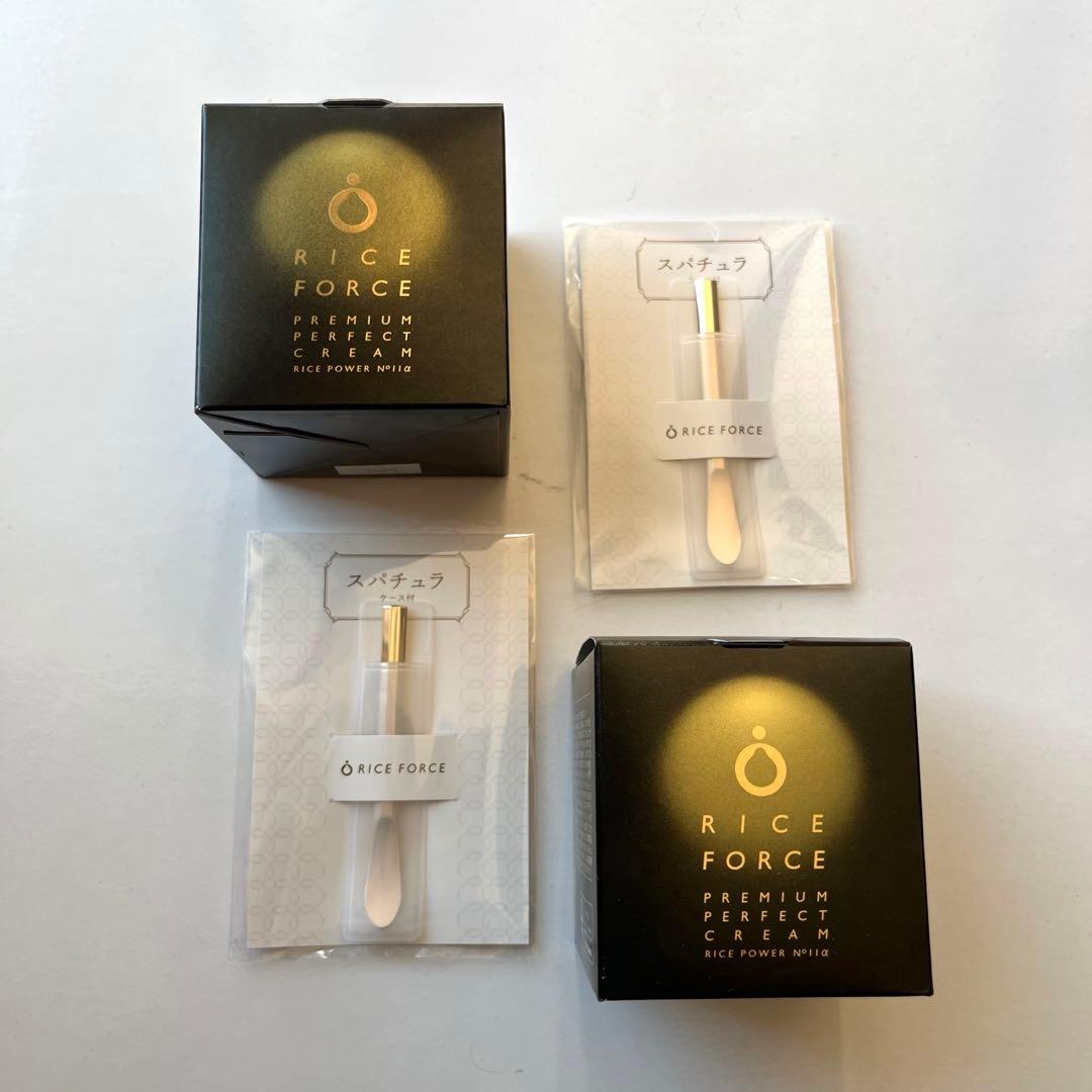 ライスフォース　60日　プレミアムパーフェクトクリーム　湿潤クリーム　30g　2