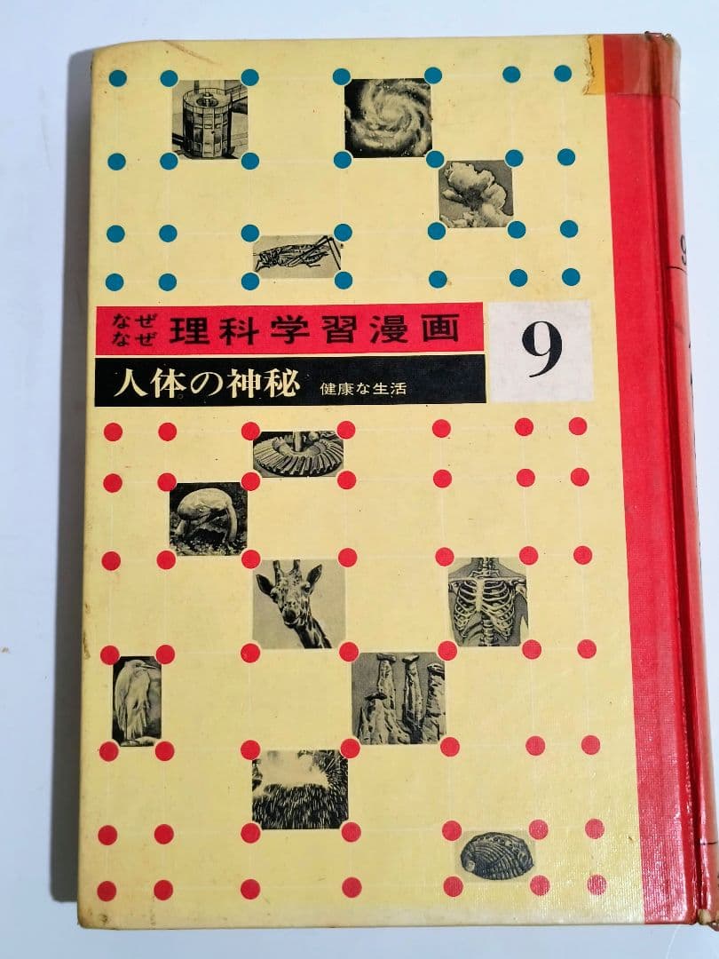 「なぜなぜ理科学習漫画」シリーズ　全12巻中11巻 (第4巻が欠落)