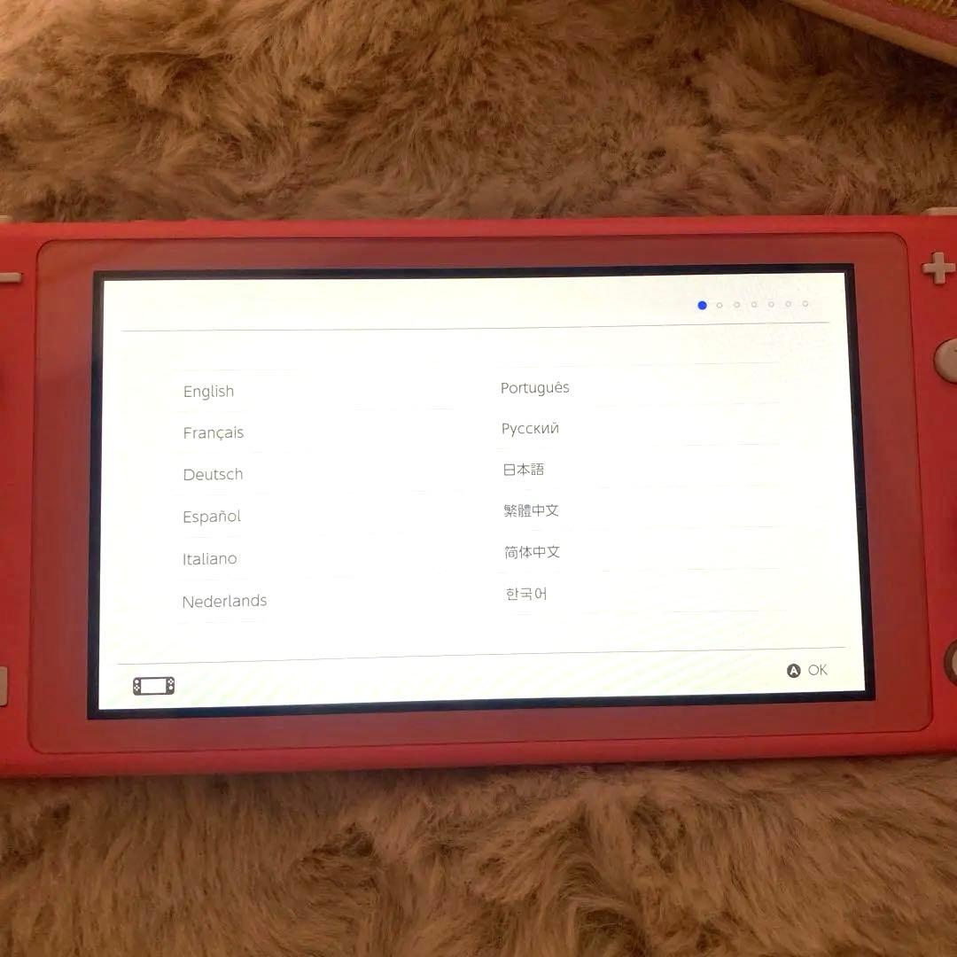 Switchライト⭐︎ソフト付き⭐︎バッテリー交換済み