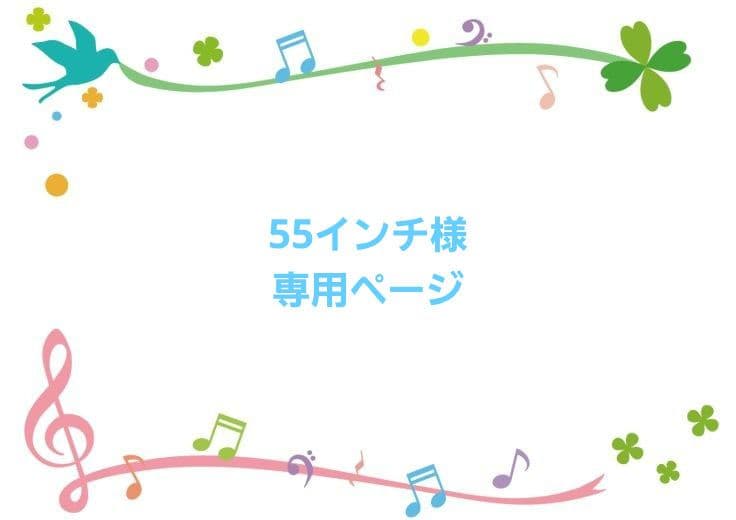 55インチページ