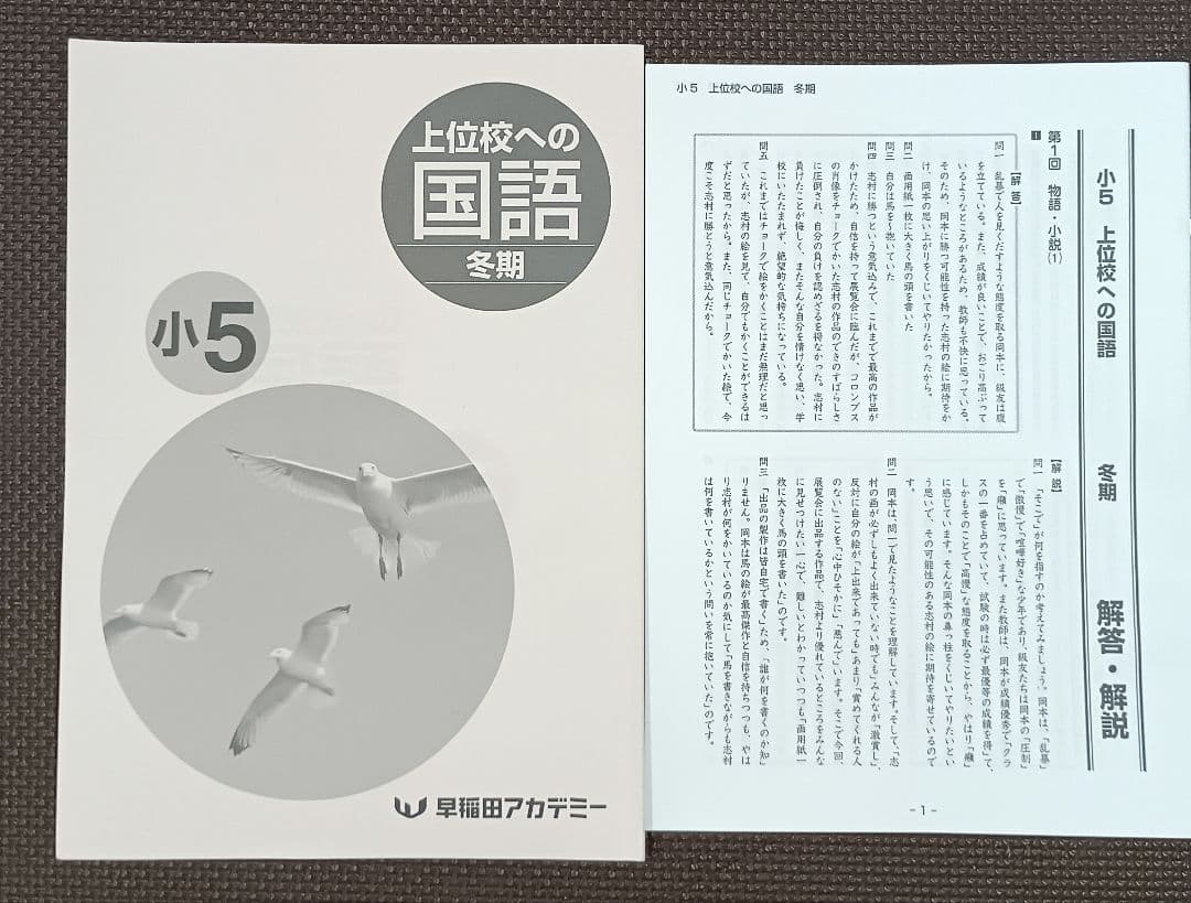 今だけオフ❗️ 小5 冬期講習 早稲田アカデミー 早稲アカ上位校5年生