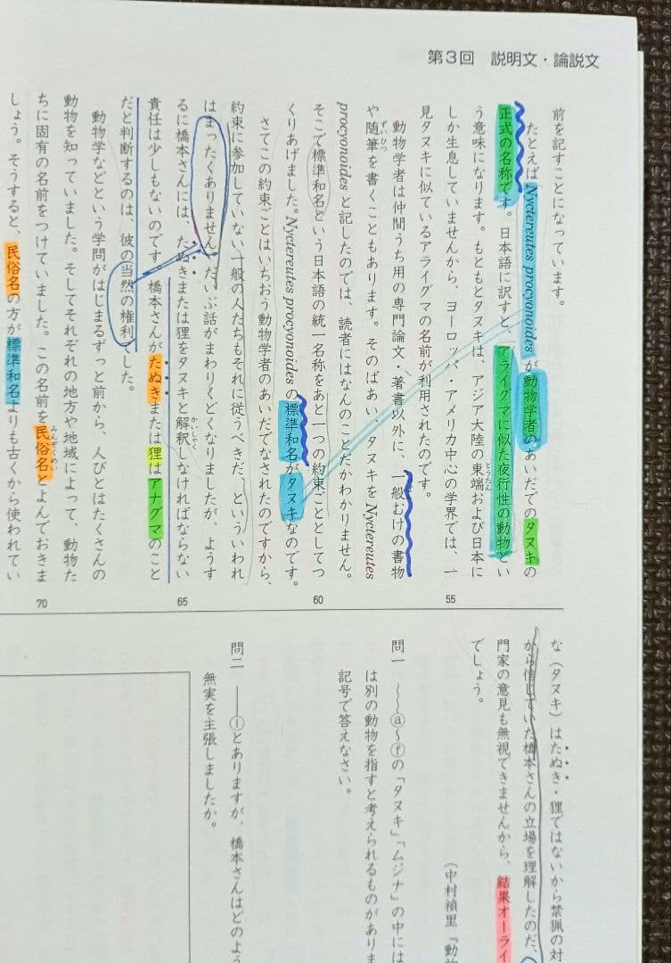 今だけオフ❗️ 小5 冬期講習 早稲田アカデミー 早稲アカ上位校5年生