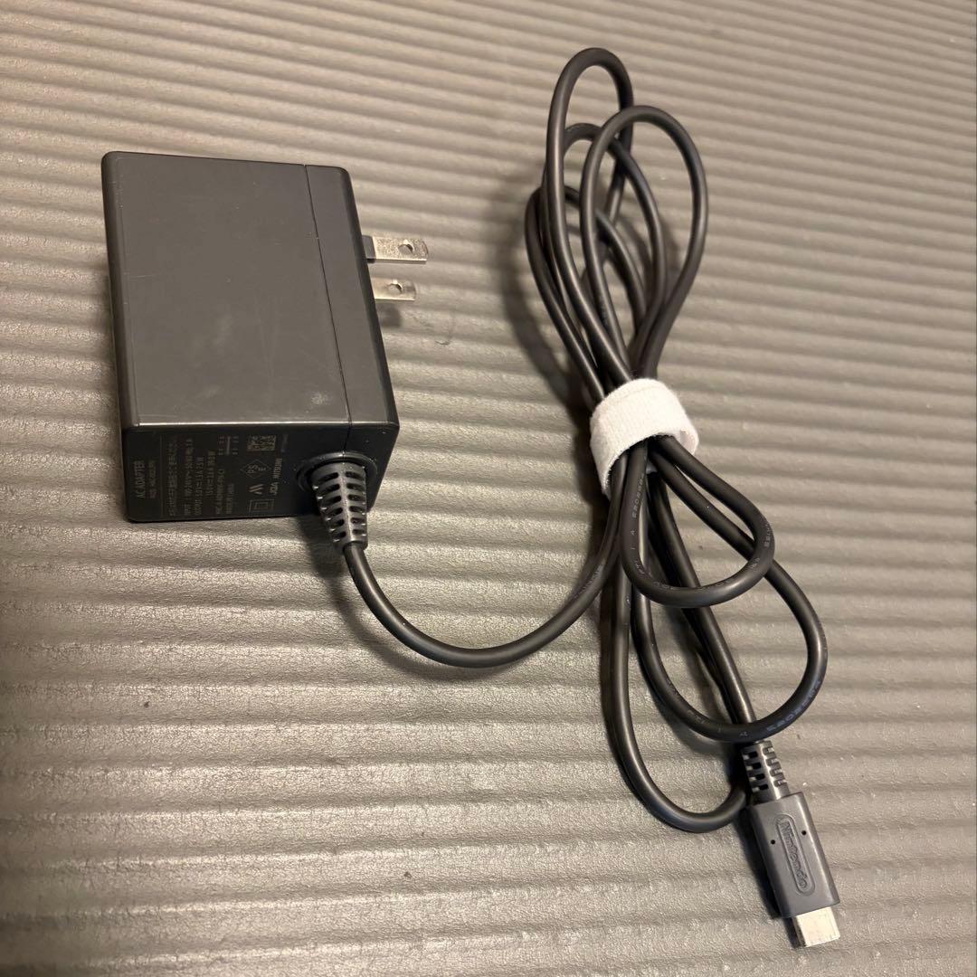 Nintendo Switch Lite グレー 本体 充電器　ケース付き