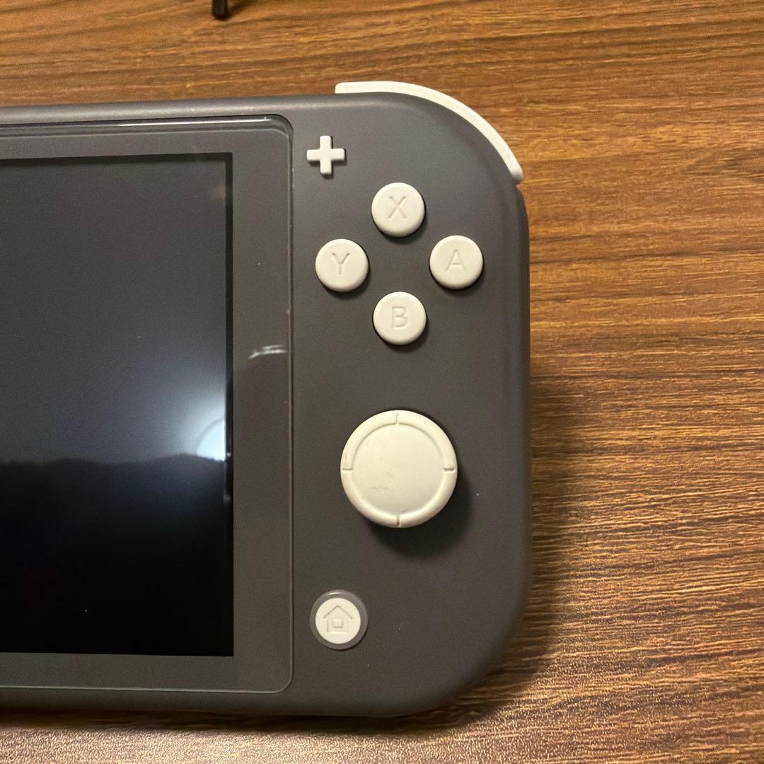 Nintendo Switch Lite グレー 本体 充電器　ケース付き