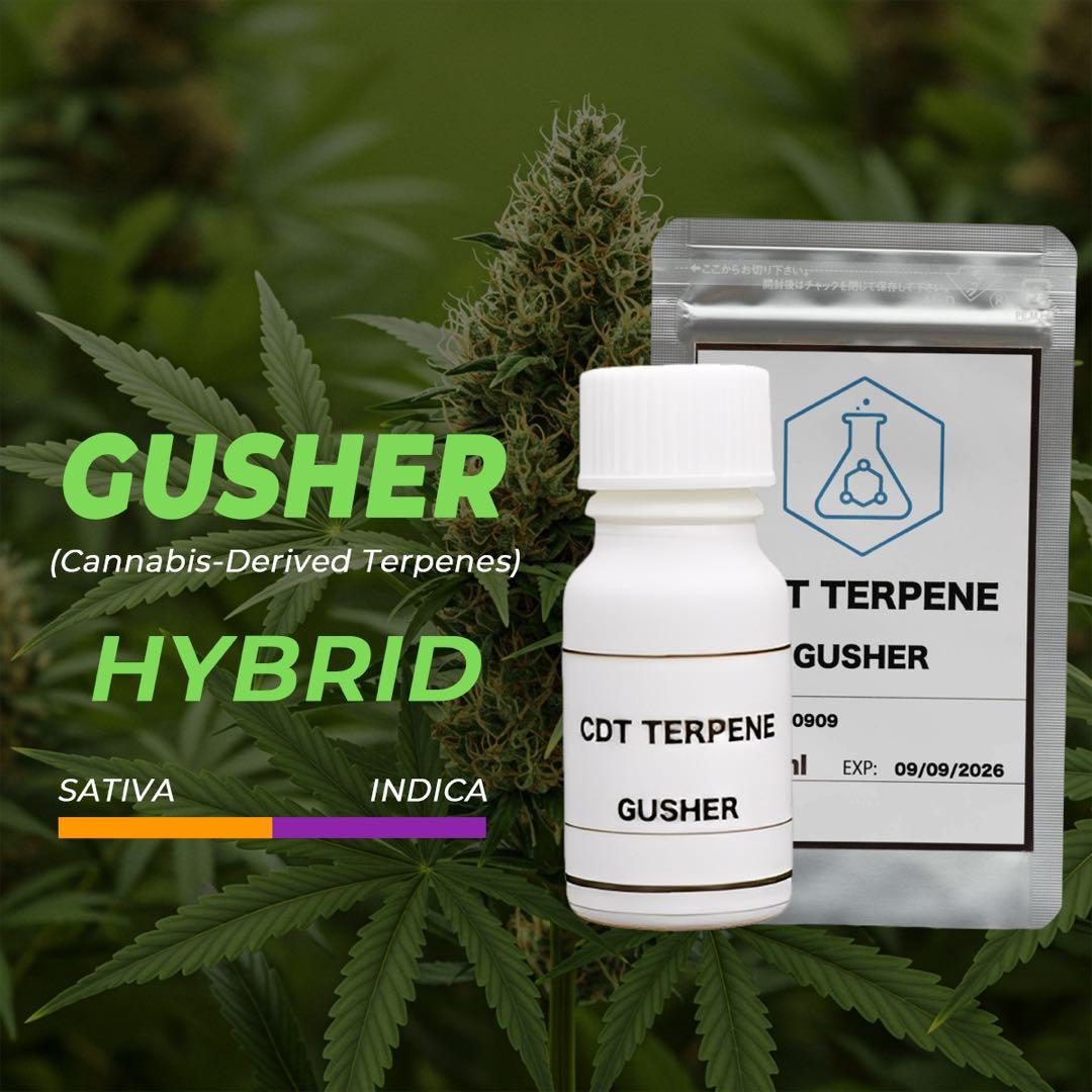 CDT GUSHER (カンナビス由来テルペン) 10ml