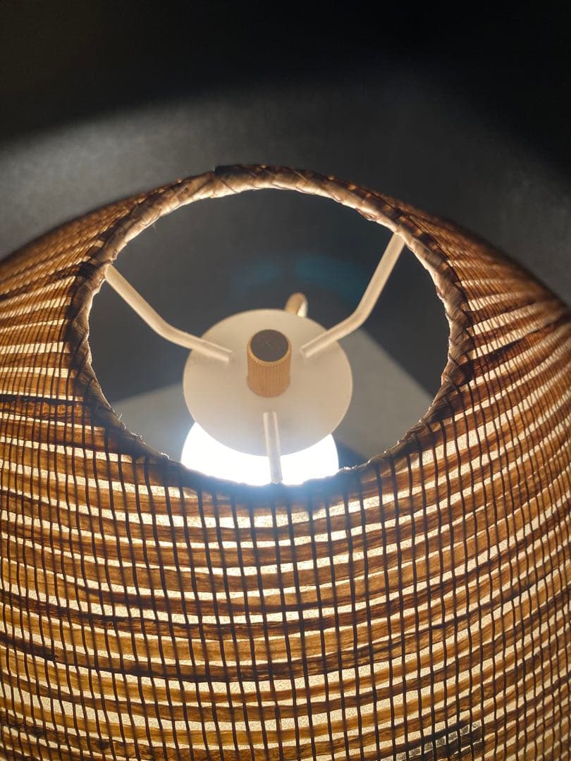 さ*き様 昭和レトロ 希少 松下電工 信楽焼たぬきランプ 縁起物 商売繁盛 ヴィ