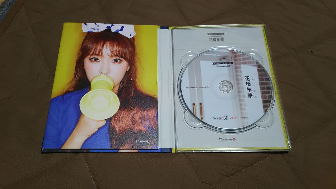 ホンジニョン花樣年華