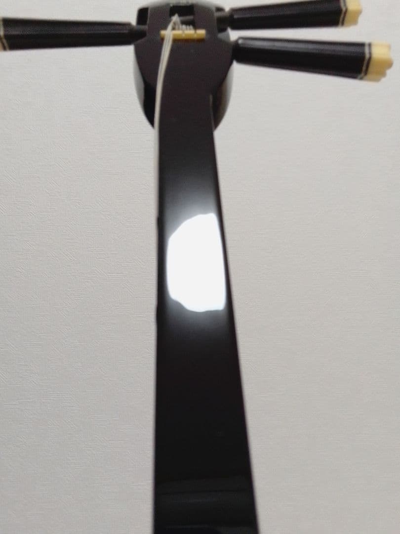 沖縄三線 本皮 強化張り 蛇皮 バッグ付 琉球 和楽器 本体