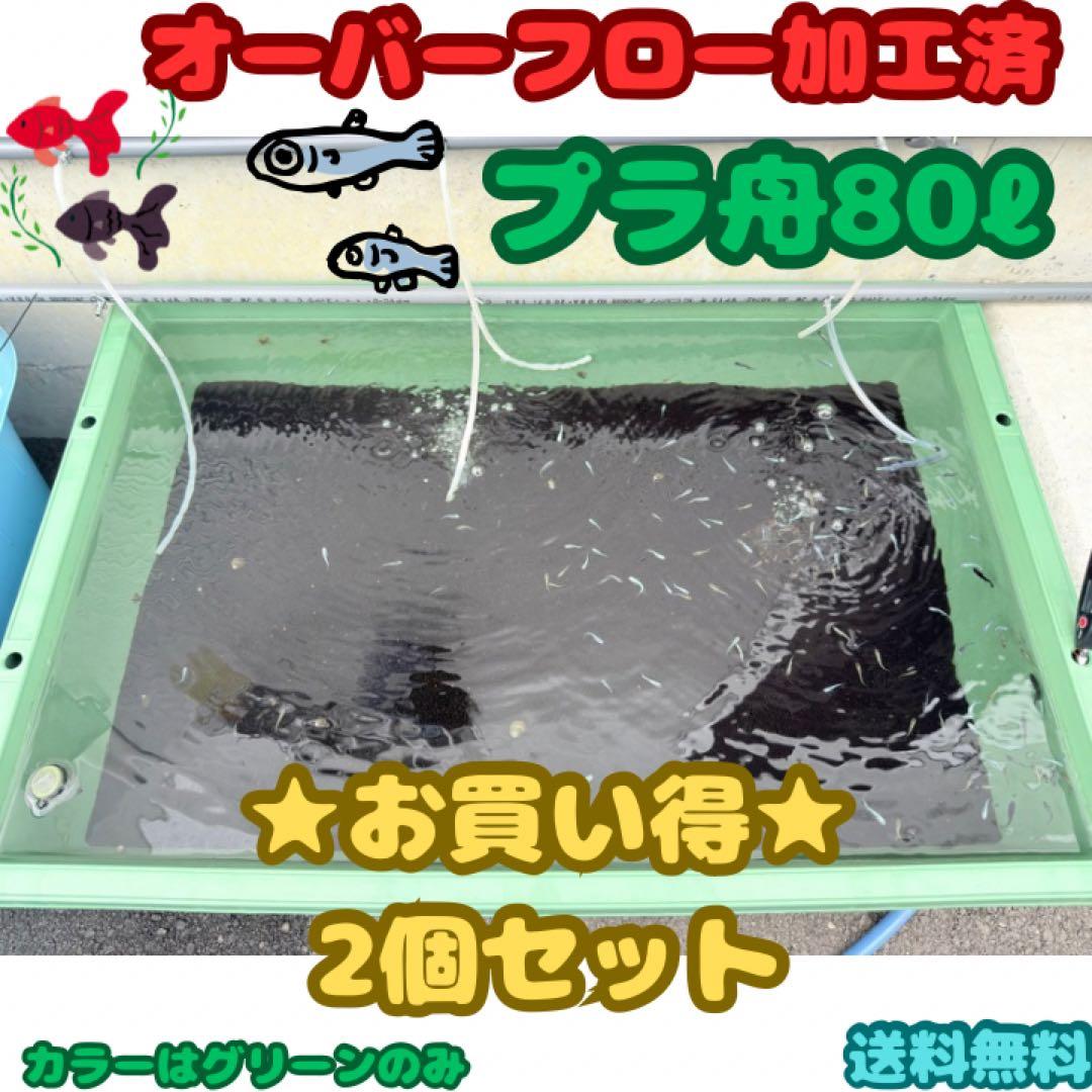 メダカ容器オーバーフロー加工 トロ舟80L 2個セットプラ舟NVボックスメダカ