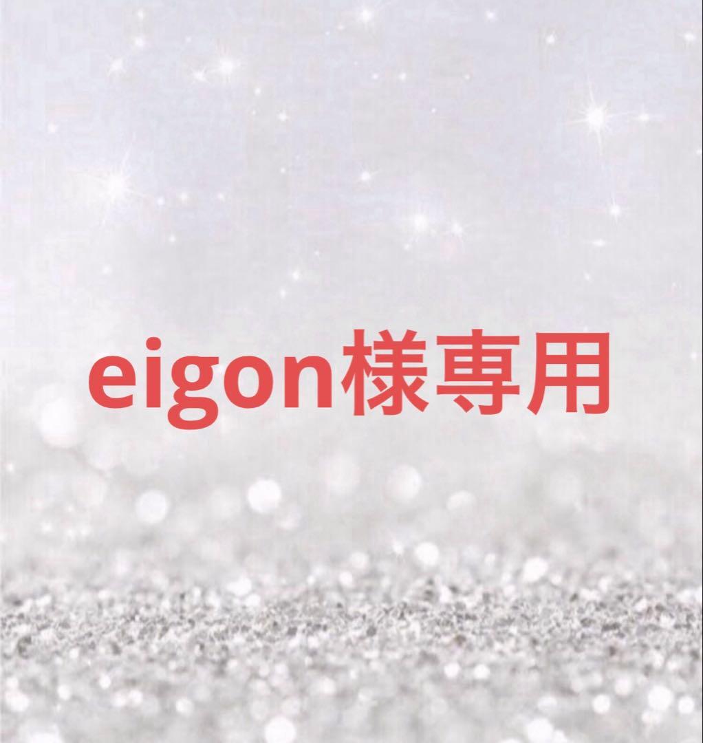 美容液 eigon