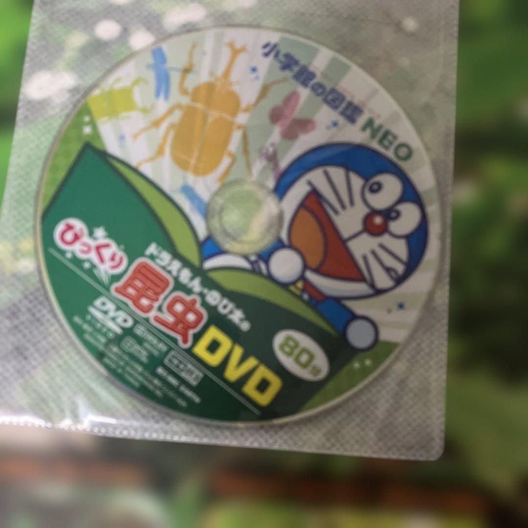 図鑑　26冊　セット　はっけんずかん　でんしゃ　しんかんせん　のりもの　どうぶつ