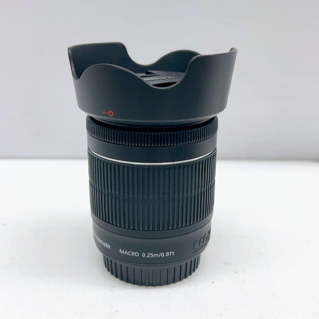 12ABM035 Canon デジタル一眼レフカメラ EOS 8000D