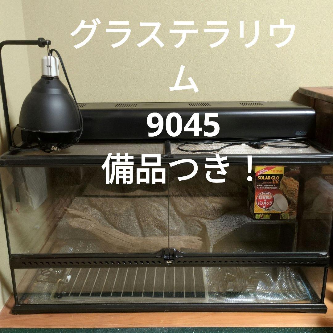 furuさま専用　ガラステラリウム 9045 備品一式つき