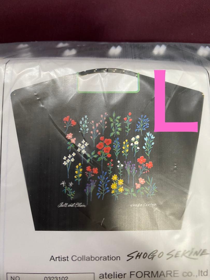 【新品・未使用、未開封】ボールアンドチェーン　ショウゴセキネ　Ｌサイズ　東方神起