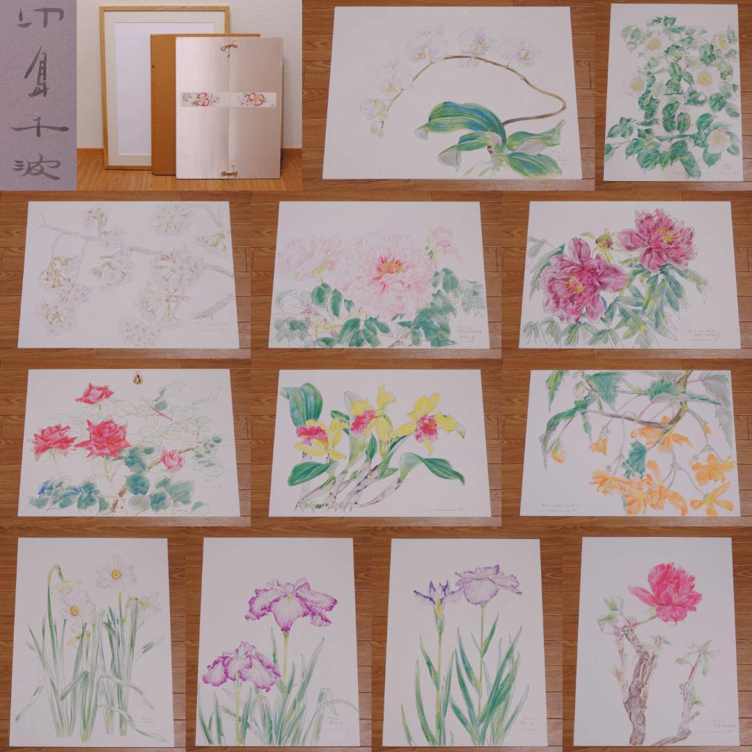 中島千波　花の写生１２葉　絵画　 12枚セット　求龍堂
