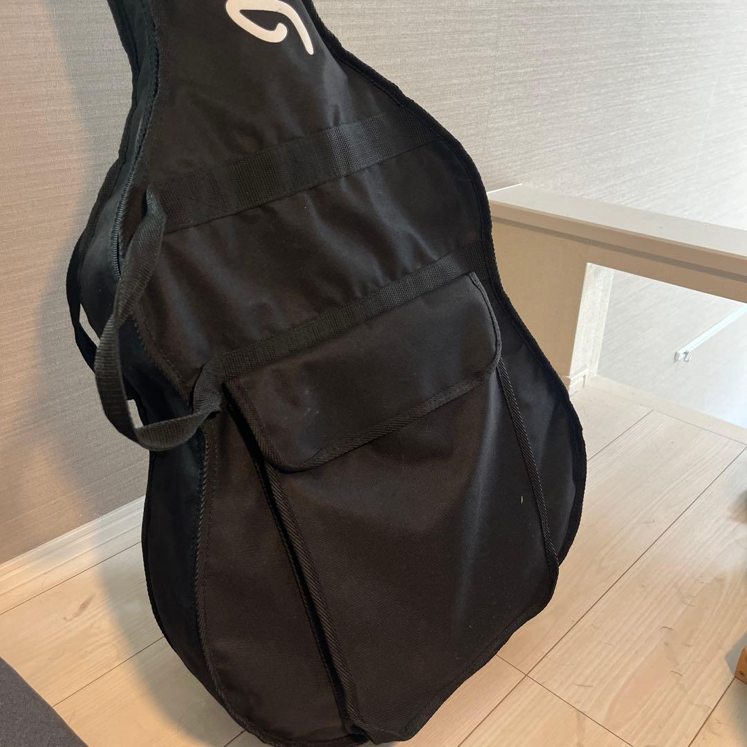 【値下げしました】Ibanez AE205 エレアコ