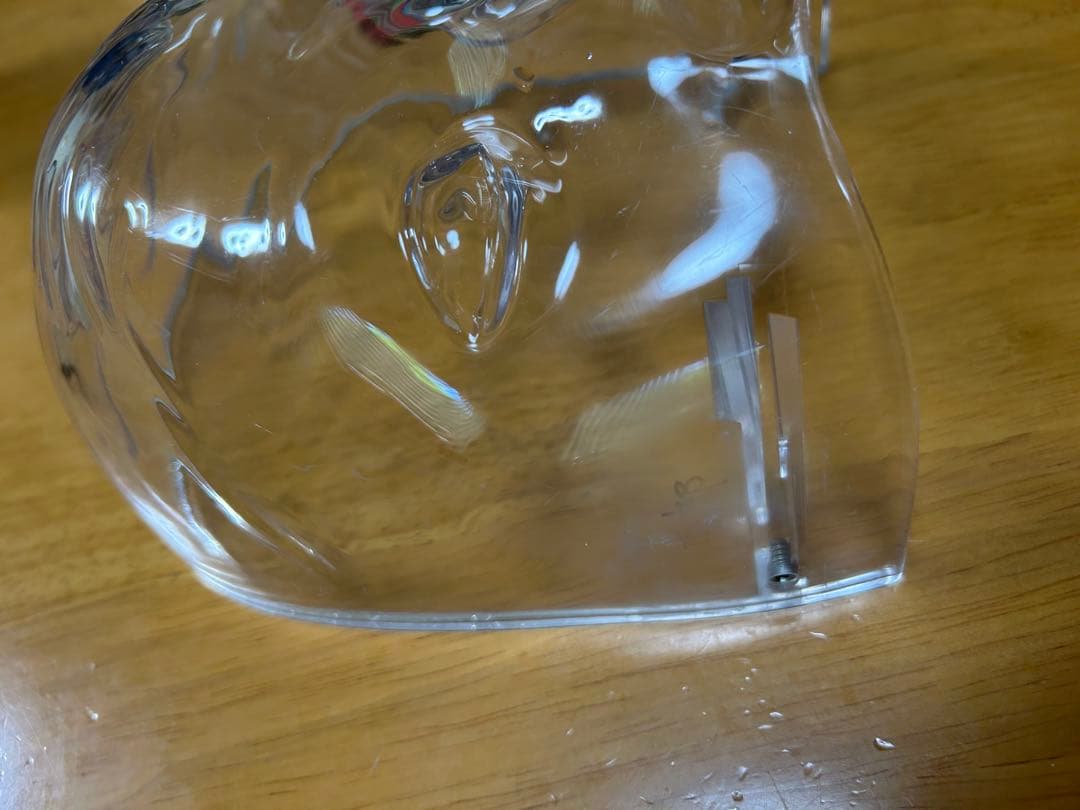 歯科 顎模型 NISSIN マネキン まとめ売り