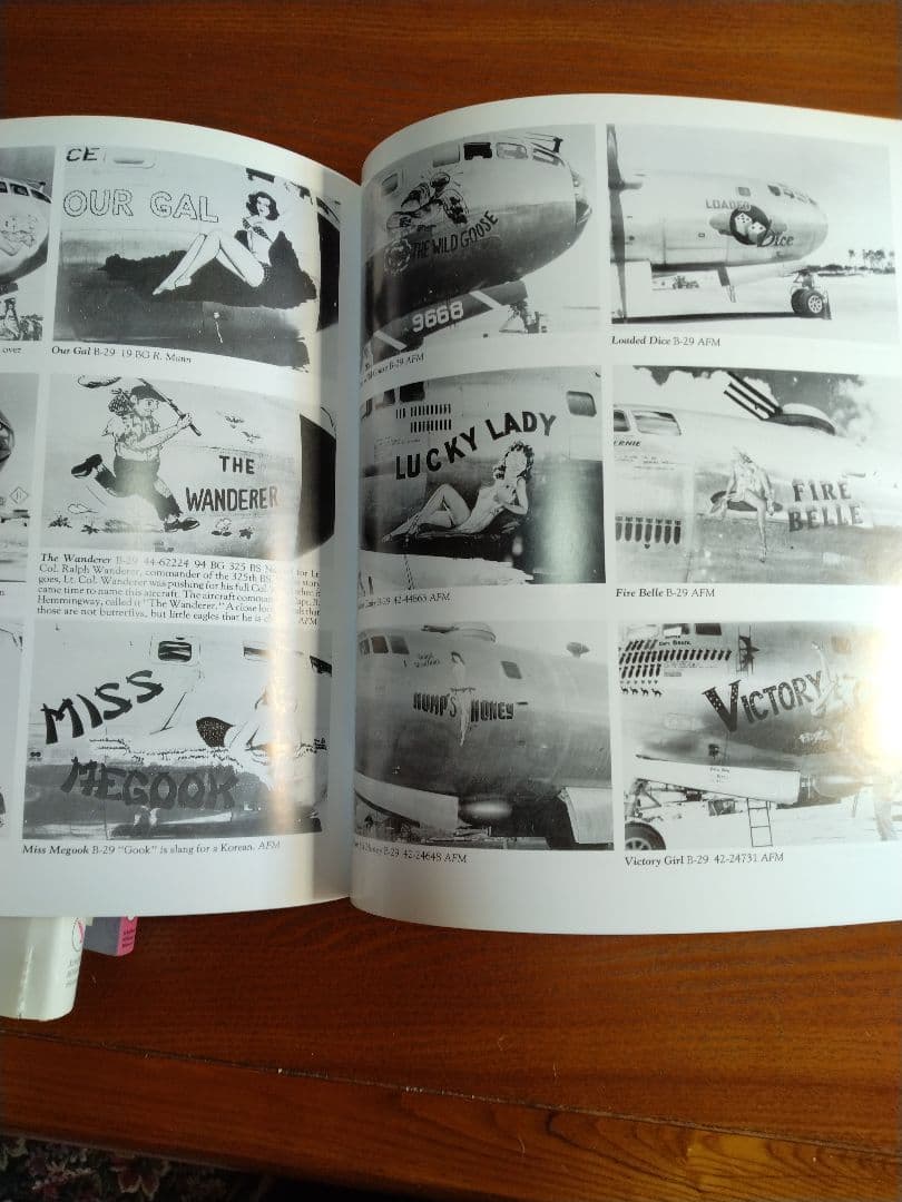 Nose Art Hard to Get!　他　ノーズアート