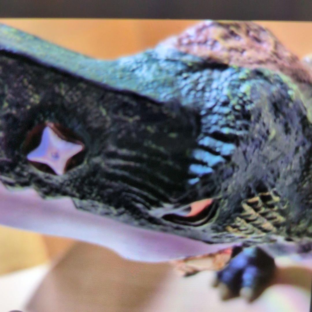 エックスプラス.ソフビ。ロケットプロギロン。