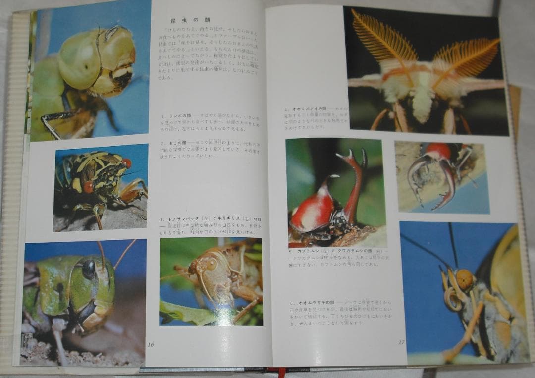 小学館発行「日本百科大事典」全20巻セット