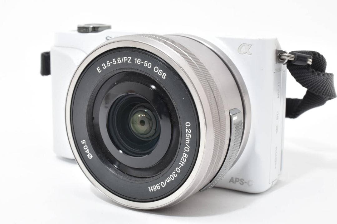 ソニー　SONY NEX-3N + 16-50mm F3.5-5.6