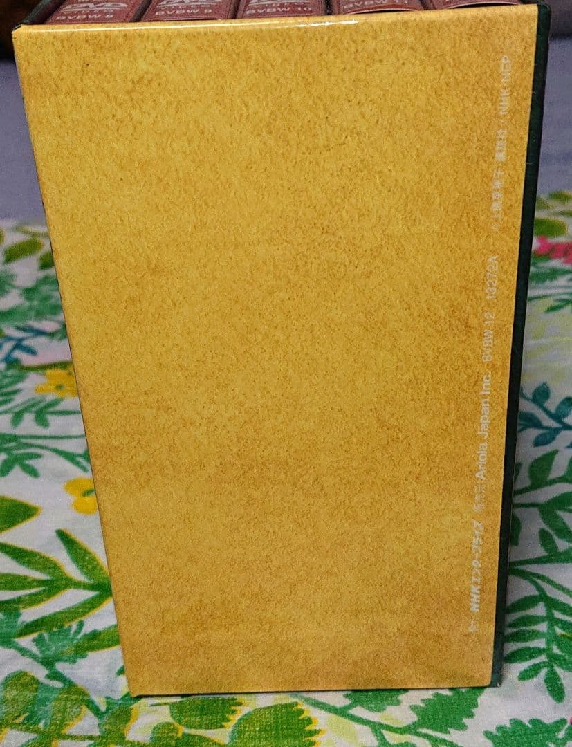 【出品7月中まで】獣の奏者エリン DVD-BOX 全巻