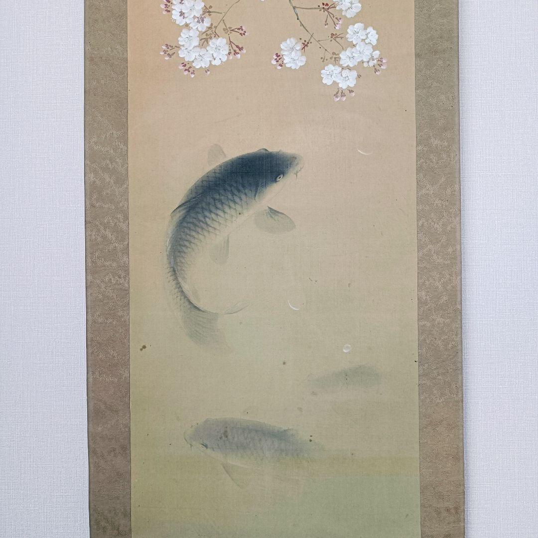 Yocchan 松田杏亭 掛軸 開運 縁起物 おもてなし 鯉 桜 日本美術