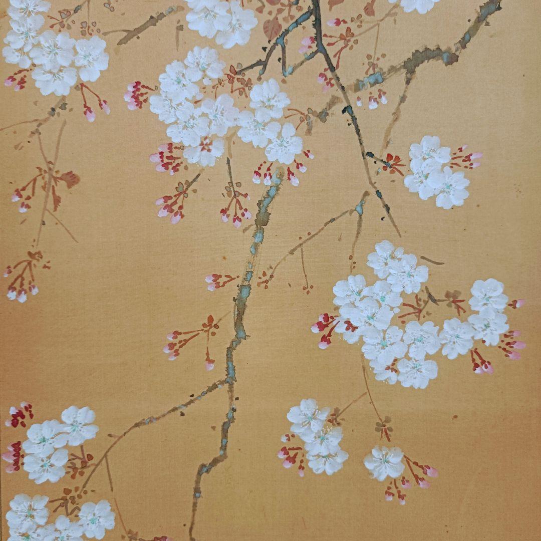 Yocchan 松田杏亭 掛軸 開運 縁起物 おもてなし 鯉 桜 日本美術