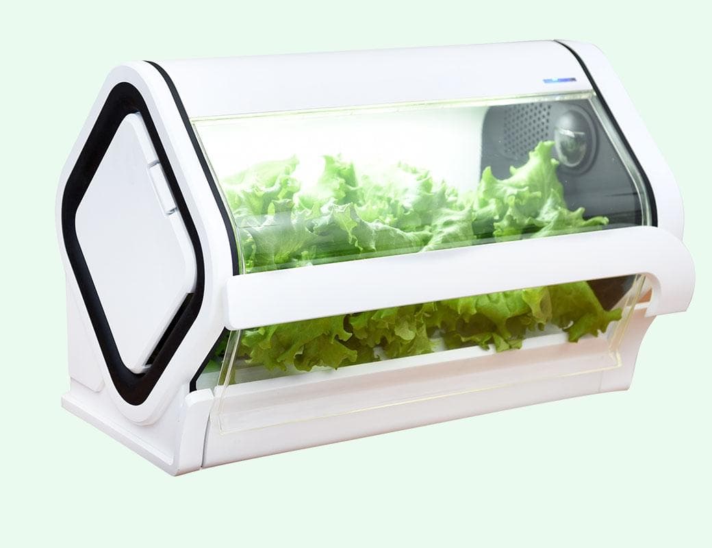 【新品】IoT家電・水耕栽培キット「やさい物語」沖縄セルラー