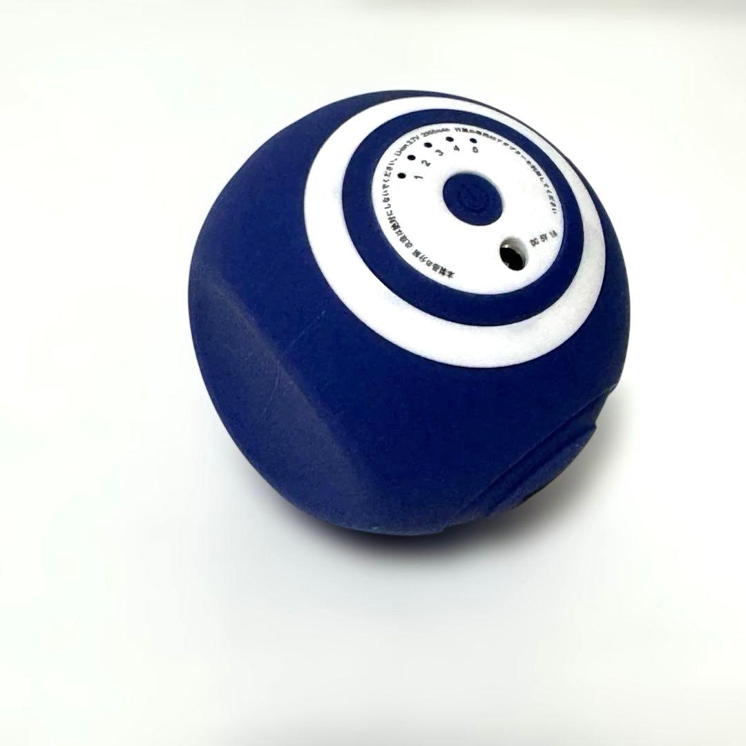 美品 oasis オアシス　スタイリーボール SLB-100 付属品完備