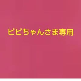ピピちゃんさま専用(オマケ付き)