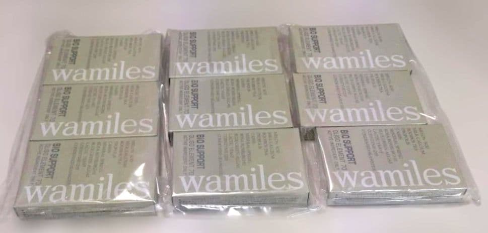 エマル13　ルルピーサマ